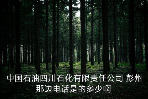 中國石油四川石化有限責任公司 彭州那邊電話是的多少啊