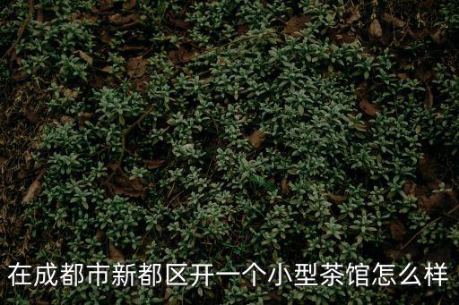 在成都市新都區(qū)開一個(gè)小型茶館怎么樣