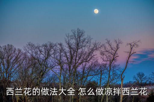涼拌西蘭花的家常做法，西蘭花的做法大全 怎么做涼拌西蘭花