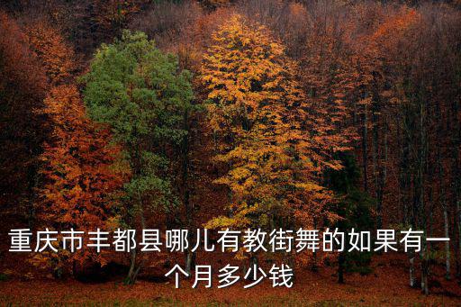 重慶市豐都縣哪兒有教街舞的如果有一個月多少錢
