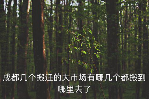 成都幾個搬遷的大市場有哪幾個都搬到哪里去了