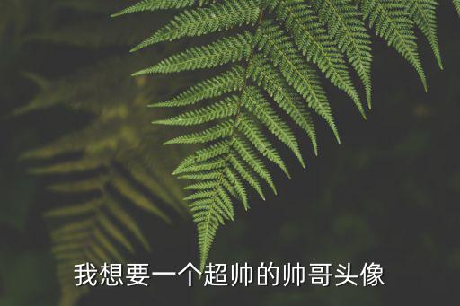 我想要一個超帥的帥哥頭像