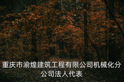 重慶市渝煌建筑工程有限公司機械化分公司法人代表