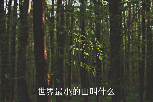 世界最小的山叫什么