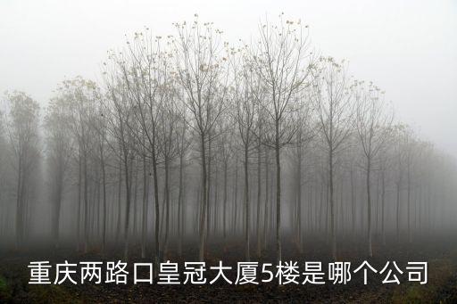 重慶兩路口皇冠大廈5樓是哪個公司