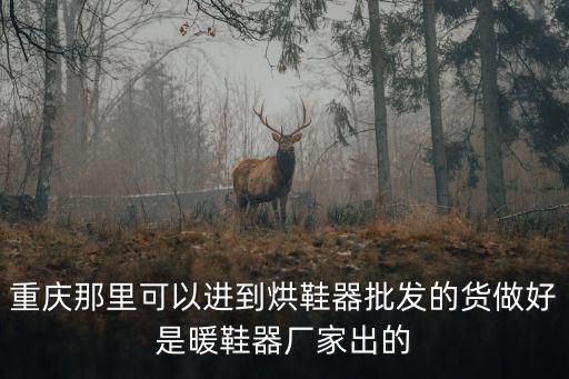 重慶那里可以進(jìn)到烘鞋器批發(fā)的貨做好是暖鞋器廠家出的