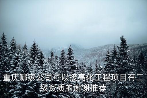 重慶市政燈飾工程掛靠，重慶沙坪壩具有照明工程一級資質的企業