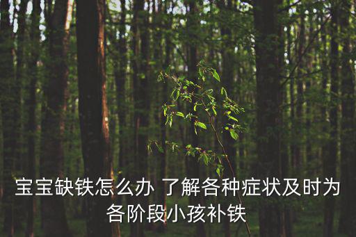 寶寶缺鐵怎么辦 了解各種癥狀及時為各階段小孩補鐵