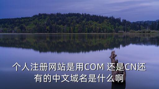 個(gè)人注冊(cè)網(wǎng)站是用COM 還是CN還有的中文域名是什么啊