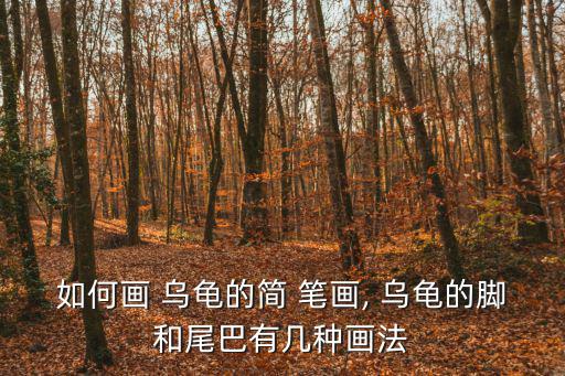 烏龜簡筆畫圖片,如何畫一只烏龜筆畫（四）
