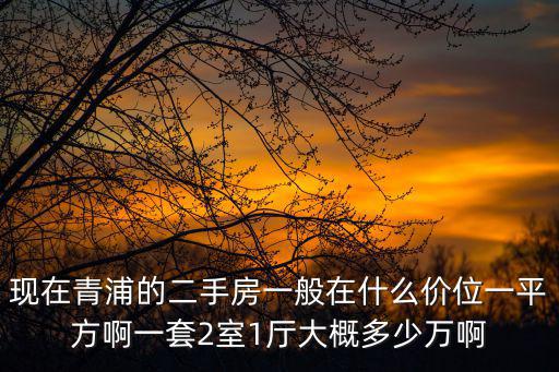 青浦淀山湖二手房價，現在青浦的二手房一般在什么價位一平方啊一套2室1廳大概多少萬啊