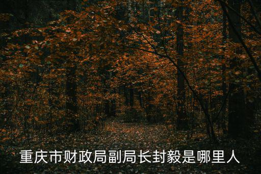 重慶市財(cái)政局副局長(zhǎng)封毅是哪里人