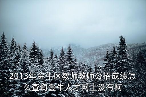 2013年金牛區(qū)教師教師公招成績(jī)?cè)趺床樵?xún)金牛人才網(wǎng)上沒(méi)有阿