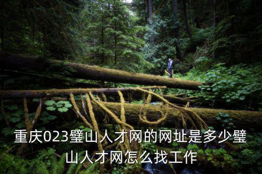 重慶023璧山人才網的網址是多少璧山人才網怎么找工作