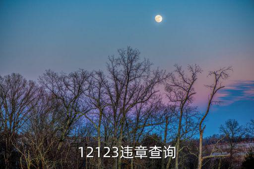 123交通違章查詢下載安裝，交管12123查違章能查如何下載