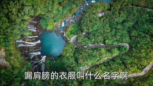 漏肩膀的衣服叫什么名字啊