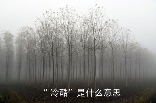 “ 冷酷”是什么意思
