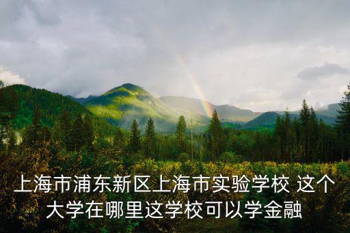 上實劍橋浦東校區地址，上海市浦東新區上海市實驗學校 這個大學在哪里這學校可以學金融