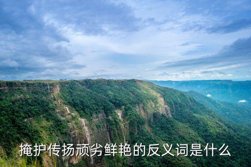 掩護(hù)傳揚(yáng)頑劣鮮艷的反義詞是什么