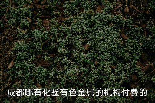 成都市道城檢測公司，成都有哪些工程檢測單位