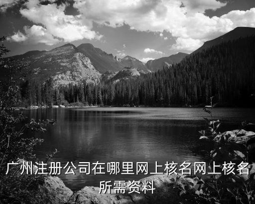 廣州注冊公司在哪里網(wǎng)上核名網(wǎng)上核名所需資料