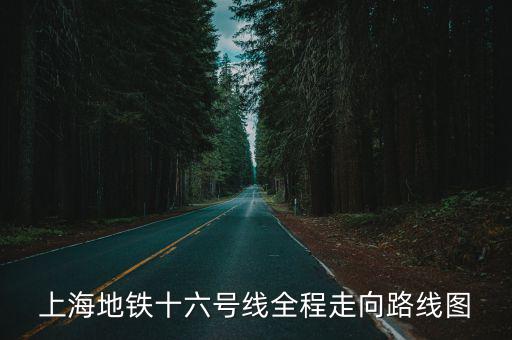 上海地鐵十六號線全程走向路線圖