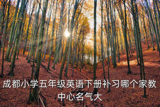 成都小學五年級英語下冊補習哪個家教中心名氣大
