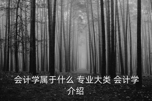  會計學屬于什么 專業大類 會計學介紹