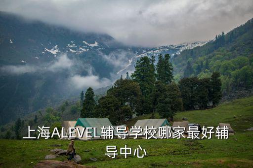 上海ALEVEL輔導(dǎo)學(xué)校哪家最好輔導(dǎo)中心
