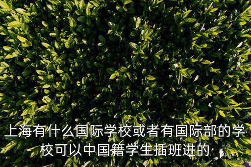 上海有什么國際學校或者有國際部的學校可以中國籍學生插班進的