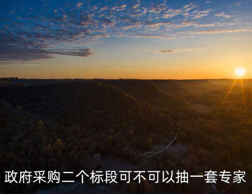 政府采購二個標段可不可以抽一套專家