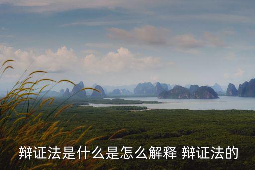  辯證法是什么是怎么解釋 辯證法的