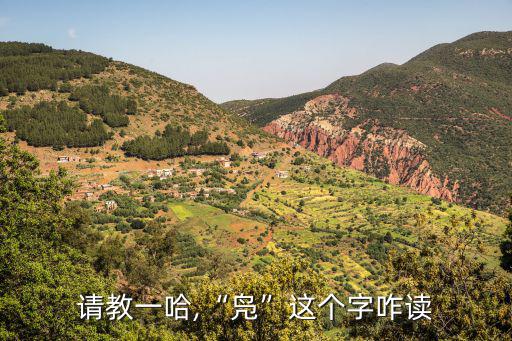 請教一哈,“鳧”這個字咋讀