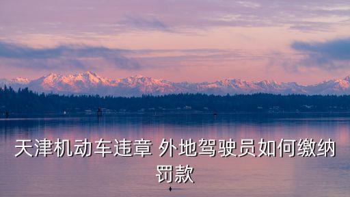 天津機動車違章 外地駕駛員如何繳納罰款