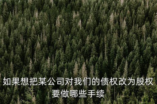 如果想把某公司對我們的債權改為股權要做哪些手續