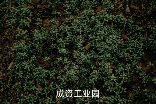 成資工業(yè)園