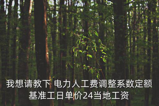 我想請(qǐng)教下 電力人工費(fèi)調(diào)整系數(shù)定額基準(zhǔn)工日單價(jià)24當(dāng)?shù)毓べY