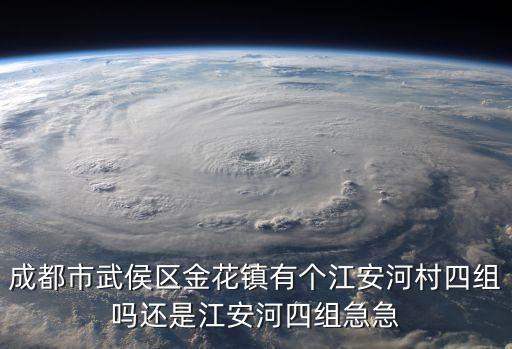 成都市武侯區金花鎮有個江安河村四組嗎還是江安河四組急急