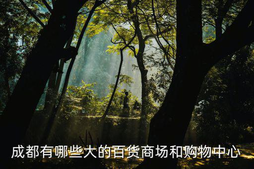 成都有哪些大的百貨商場和購物中心