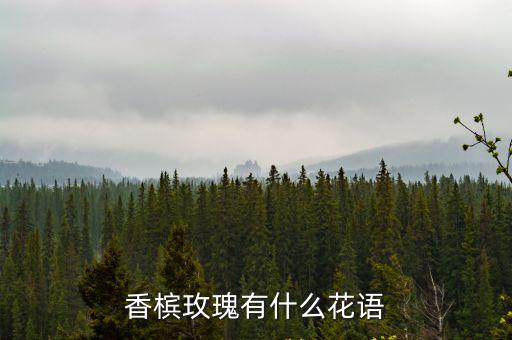 香檳玫瑰有什么花語