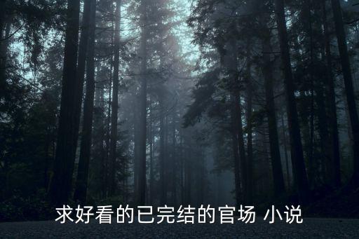求好看的已完結的官場 小說