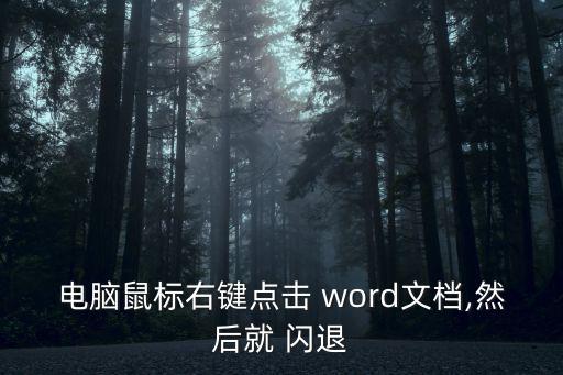 電腦鼠標右鍵點擊 word文檔,然后就 閃退