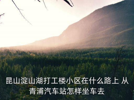 青浦淀山湖洋房，淀山湖鎮房價最近是多少離上海要多久的車程啊有小平方的房子嗎
