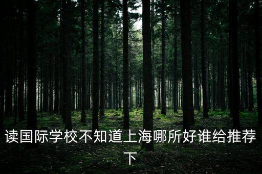 上海10大國際學(xué)校排名表，上海的有國際部的中學(xué)哪個(gè)好或者哪個(gè)國際學(xué)校好學(xué)費(fèi)多少  搜