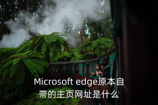 Microsoft edge原本自帶的主頁網址是什么