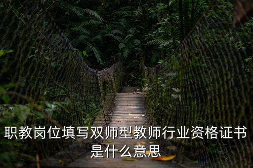 成都市職教雙師型，職教崗位填寫雙師型教師行業(yè)資格證書是什么意思