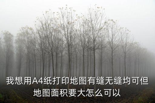 中國地圖a4紙打印版，我想用A4紙打印地圖有縫無縫均可但地圖面積要大怎么可以