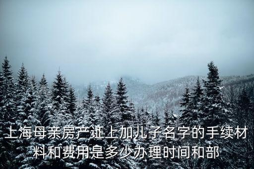 上海母親房產證上加兒子名字的手續材料和費用是多少辦理時間和部
