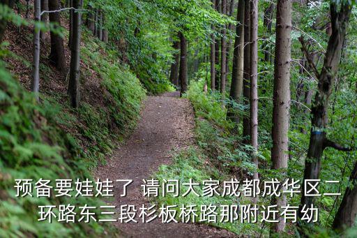 預備要娃娃了 請問大家成都成華區二環路東三段杉板橋路那附近有幼