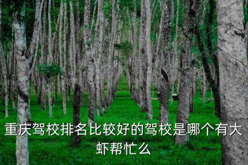 重慶駕校排名比較好的駕校是哪個有大蝦幫忙么